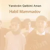 About Yandırdın Qəlbimi Aman Song