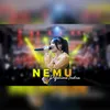 About Nemu Song