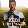 About Kedi Song