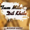 Tu Mile Dil Khile Reprise