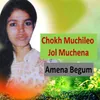 Chokh Muchileo Jol Muchena