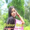 About Babur Bap Song