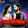 About Tum Ho Mere Song