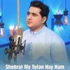 About Shohrat My Tofan Hay Ham Song