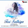 Teri Saathiya