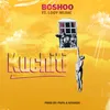 About Kuchiti Song