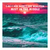 About Meet in the Middle Song