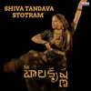 About Shiva Tandava Stotram Song