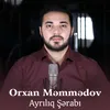 About Ayrılıq Şərabı Song