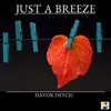 About Just a Breeze Song