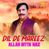 About Dil De Mareez Song