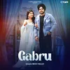 About Gabru Song