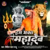 About Hum Bhakt Mahadev Ke Hai Song