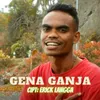 About GENA GANJA Song