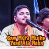 About Gaw Mera Mujhe Yaad Ata Raha Song