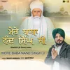 About Mere Baba Nand SIngh JI Song