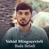 About Buda Belədi Song