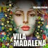 About Vila Madalena Song