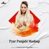 About Pyar Punjabi Mashup Song