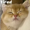 About tired Song