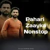 Pahari Zaayka Nonstop