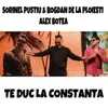 About Te Duc La Constanta Song