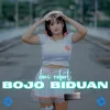 About Bojo Biduan Song