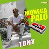 About Muñeca de Palo Song