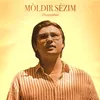 About MOLDIR SEZIM Song