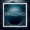 About SWALLOWED Song