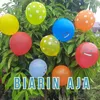 About Biarin Aja Song