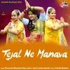 About Tejal Ne Manava Song