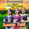 About Konco Tani Song