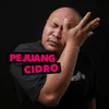 pejuang cidro