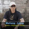 Meliang Liang