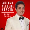 Aklımı Yellere Verdim