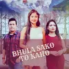 About Bhula sako to kaho Song