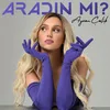 About Aradın mı Song