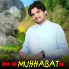 About Jadu Da Muhabat Da Song