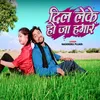 About Dil Leke Hoja Hamar Song