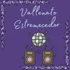 About Vallenato estremecedor Song