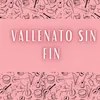 About Vallenato sin fin Song
