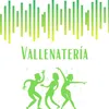 About Vallenateria Song