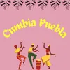 About Cumbia Puebla Song