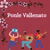 About Ponle Vallenato Song
