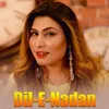About Dil-E-Nadan Song