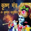About Krishna Mantra-Om Krishnay Vasudevay Song