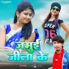 About Jamui Jila Ke Song