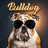 About Bulldog Song