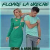 About Floare La Ureche Song